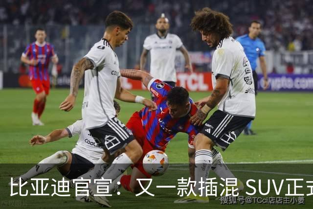 比亚迪官宣：又一款插混 SUV正式上市，纯电 315km + 综合续航 1400km